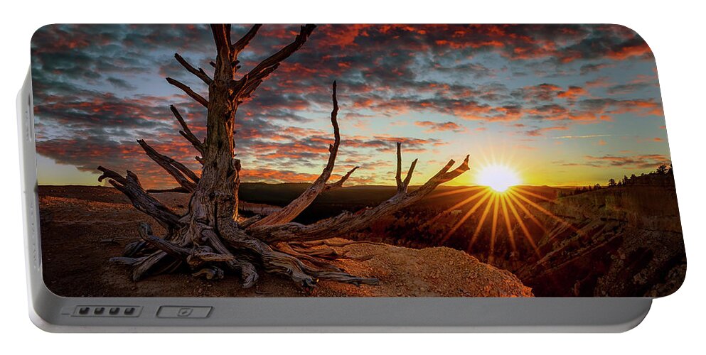 Bristlecone Portable Battery Charger featuring the photograph Bristlecone Sunset by David Soldano