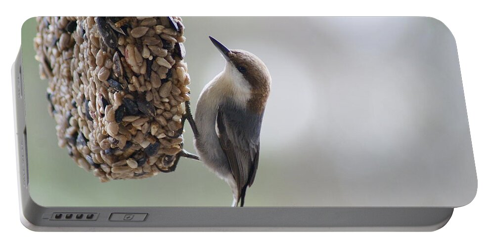 Bird Portable Battery Charger featuring the photograph Brown-headed Nuthatch by Heather E Harman