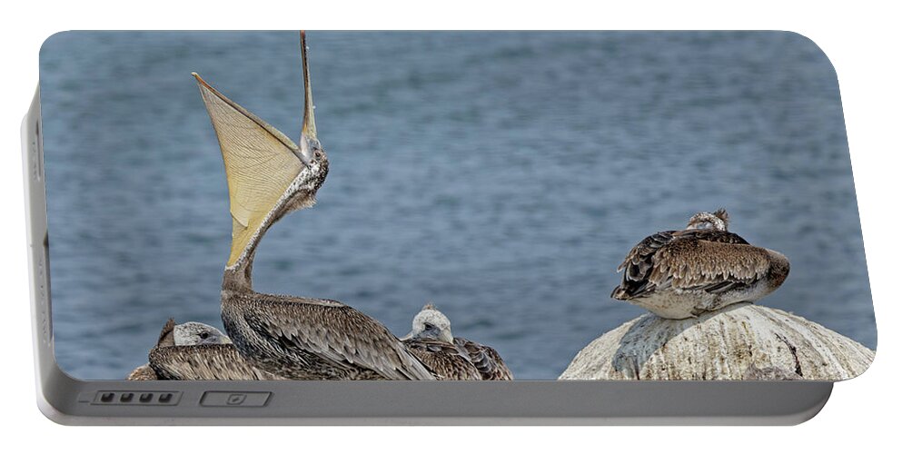 Brownpelican Portable Battery Charger featuring the photograph Brown Pelican Yawn by Natural Focal Point Photography