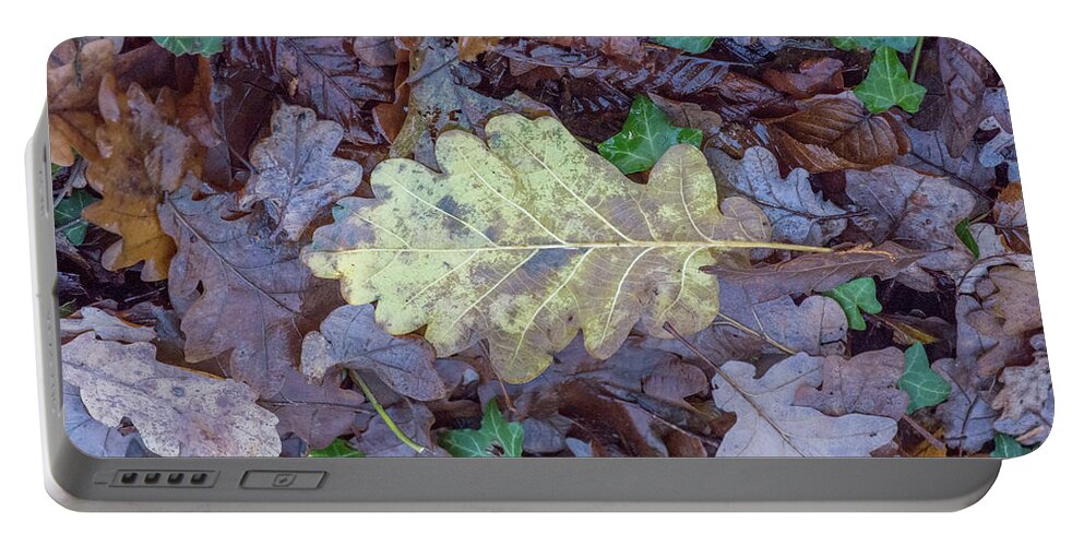 Brunswick Woods Portable Battery Charger featuring the photograph Brunswick Woods Leaves Winter 1 by Edmund Peston