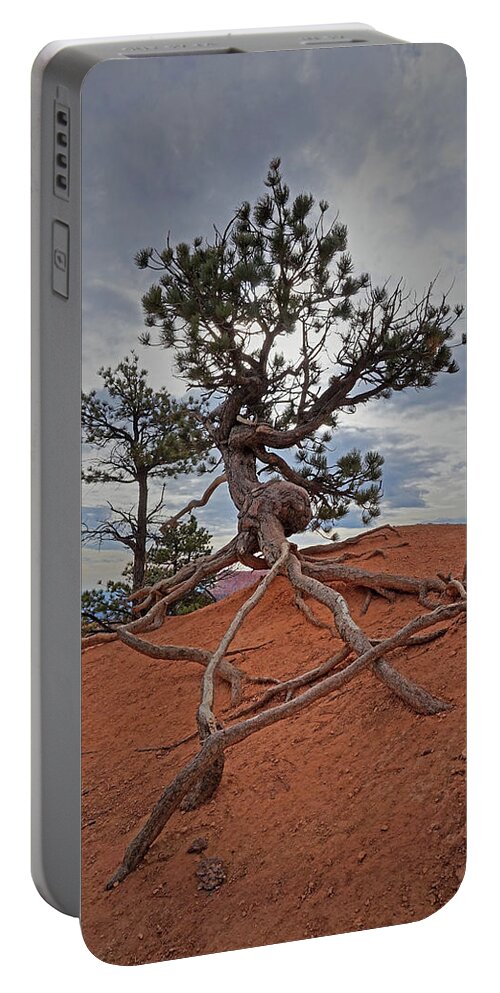 Bryce Canyon National Park Portable Battery Charger featuring the photograph Bryce Canyon National Park - Fighting to Stay Rooted by Yvonne Jasinski