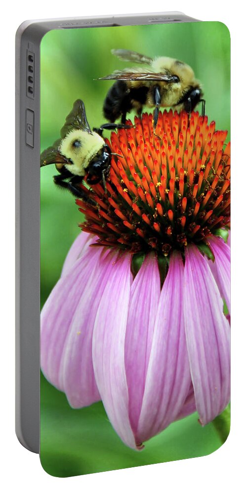 Flower Portable Battery Charger featuring the photograph Bubble Bees by Tom Watkins PVminer pixs