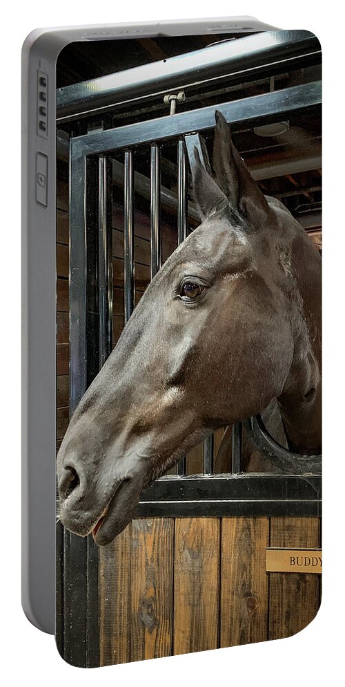Horse Portable Battery Charger featuring the photograph Buddy by Lora J Wilson