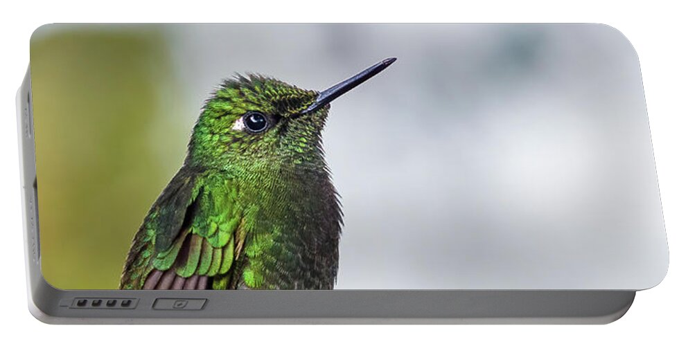 Animal In The Wild Portable Battery Charger featuring the photograph Buff-tailed Coronet humminbird by Henri Leduc