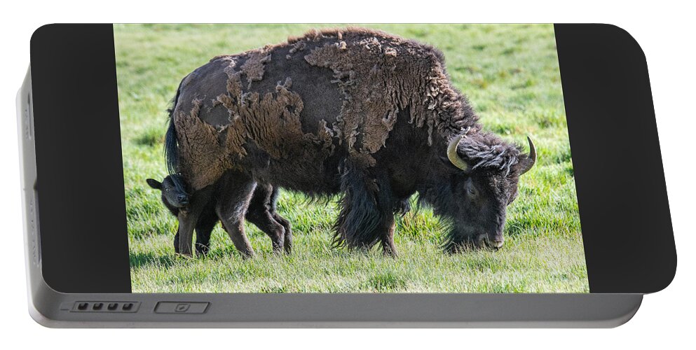 Buffalo With Baby Beefalo Portable Battery Charger featuring the digital art Buffalo with baby beefalo by Tammy Keyes