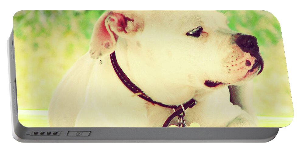 Art Portable Battery Charger featuring the digital art Bulldog Rana Art 32 by Miss Pet Sitter