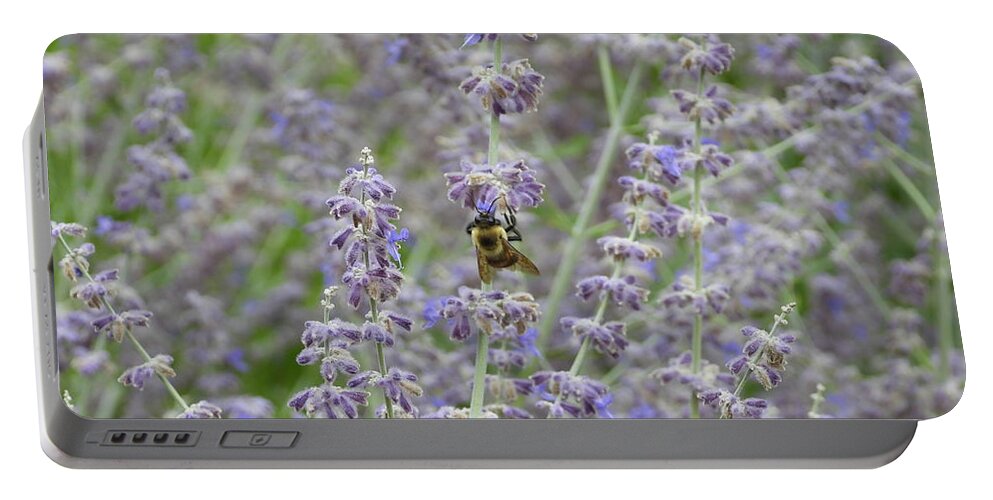 Bumble Bee Portable Battery Charger featuring the photograph Bumble Bee in the Lavender by Amanda R Wright