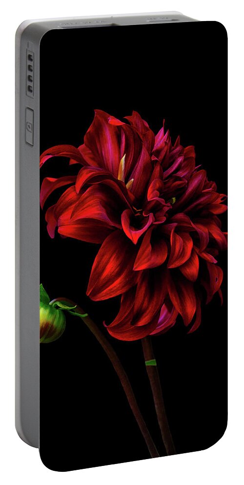 Dahlia Portable Battery Charger featuring the photograph Burn Daylight by Cynthia Dickinson
