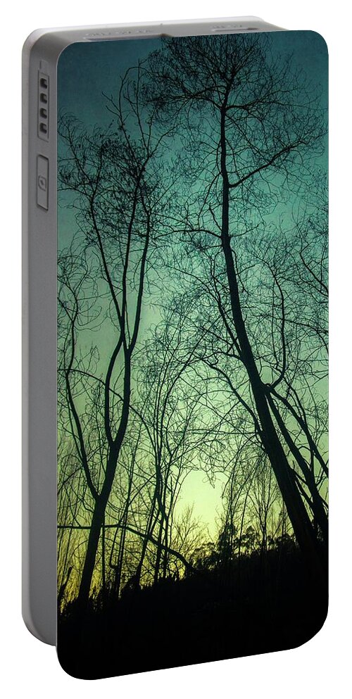 Trees Portable Battery Charger featuring the photograph Burnt Forest Trees by Carlos Caetano