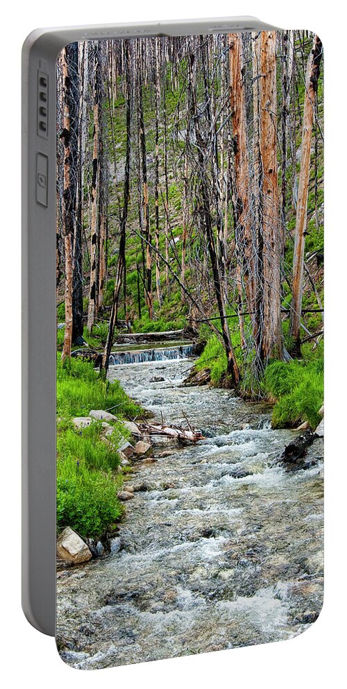 Stream Portable Battery Charger featuring the photograph Burnt Out Forest by Pamela Dunn-Parrish