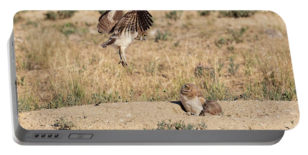 Owl Portable Battery Charger featuring the photograph Burrowing Owl Owlet Tests its Wings by Tony Hake