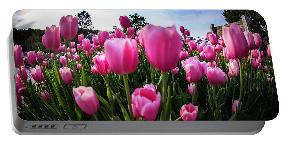  Portable Battery Charger featuring the photograph Bursting Tulips by Nicole Engstrom