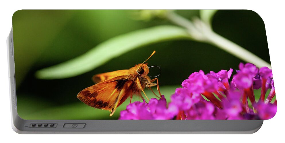 Busy Butterfly Portable Battery Charger featuring the photograph Busy Butterfly by Karol Livote