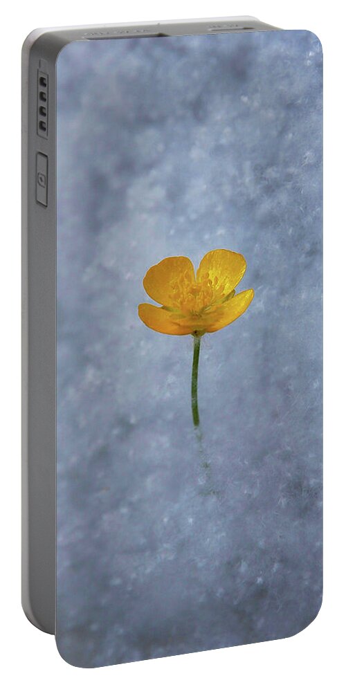 Buttercup Portable Battery Charger featuring the photograph Buttercup by Ryan Workman Photography