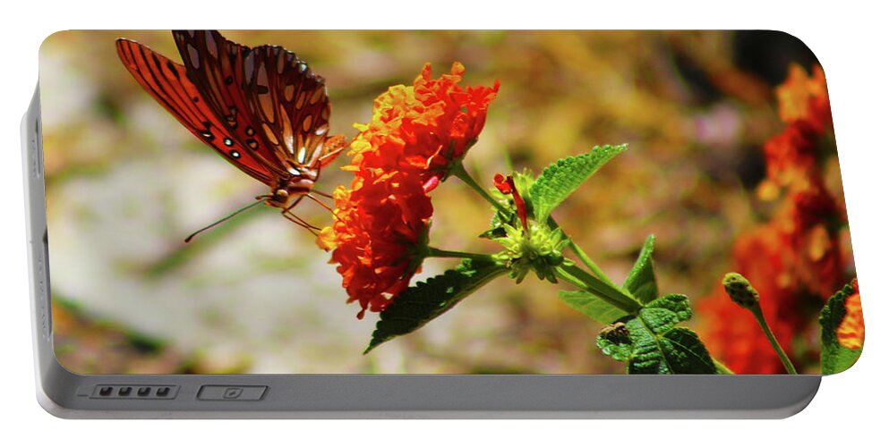 Butterflies Portable Battery Charger featuring the photograph Butterfly Carnation by Marcus Jones