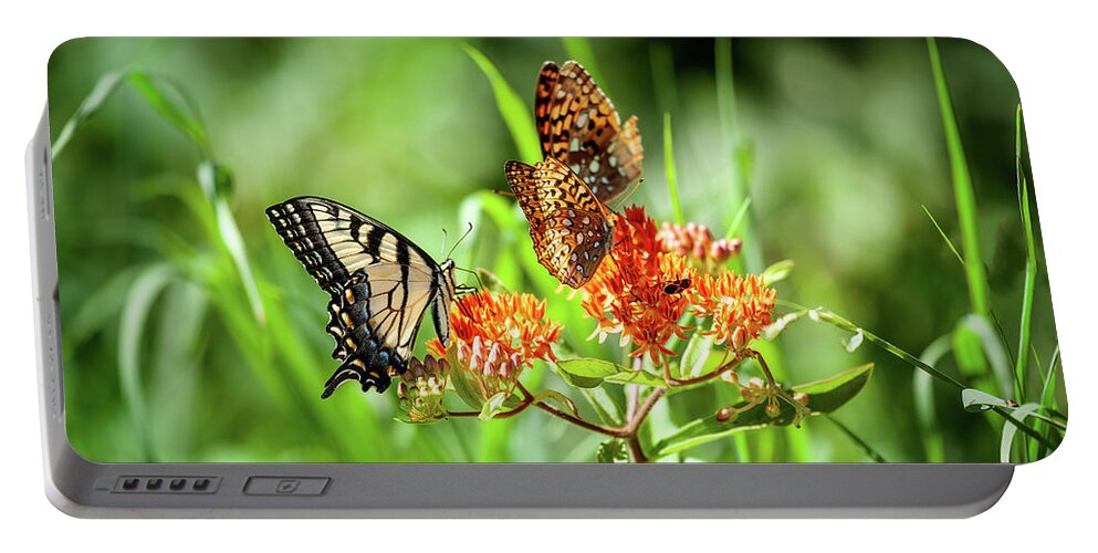 North Carolina Portable Battery Charger featuring the photograph Butterfly Harmony by Dan Carmichael