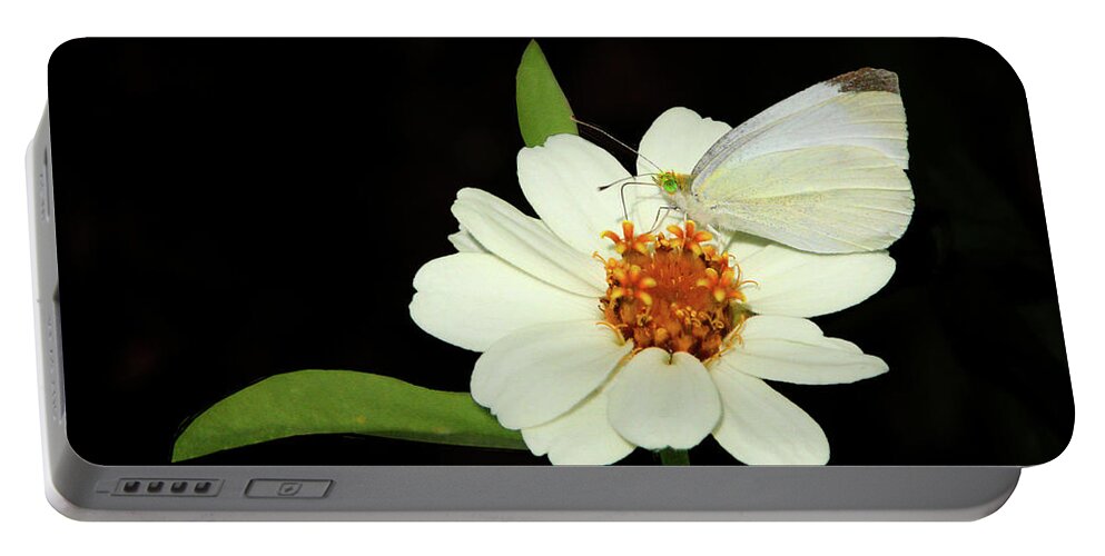 Nature Portable Battery Charger featuring the photograph Butterfly Lunch by Mariarosa Rockefeller