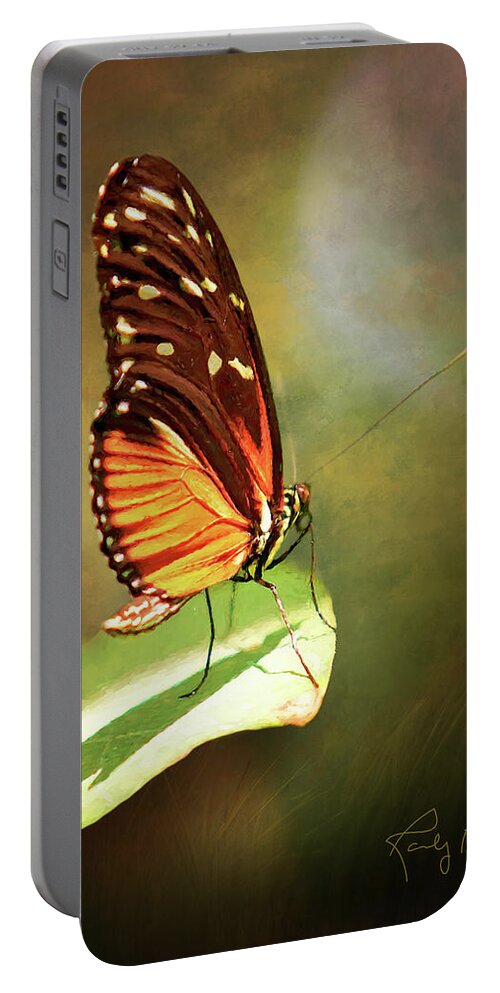Butterfly Portable Battery Charger featuring the photograph Butterfly Portrait by Randall Allen