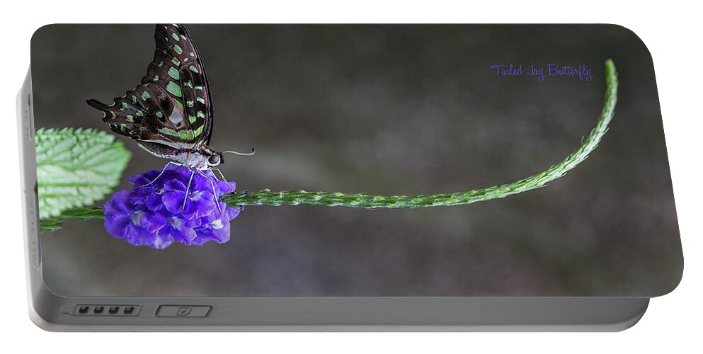 Butterfly Portable Battery Charger featuring the photograph Butterfly - Tailed Jay II by Patti Deters