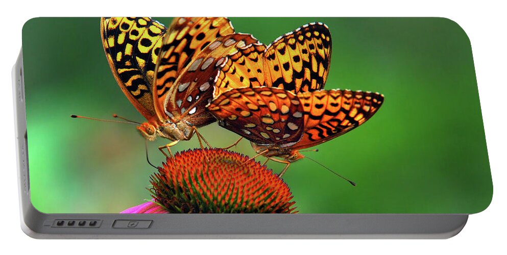 Butterflies Portable Battery Charger featuring the photograph Butterfly Twins by Christina Rollo