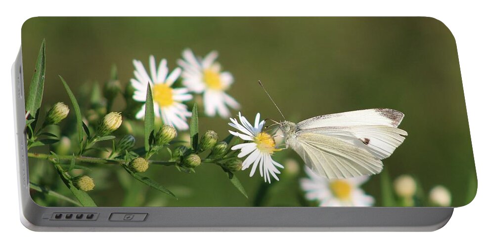 Butterfly Portable Battery Charger featuring the photograph Cabbage Butterfly on Wildflowers by Christopher Reed