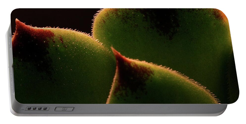 Macro Portable Battery Charger featuring the photograph Cactus 9609 by Julie Powell