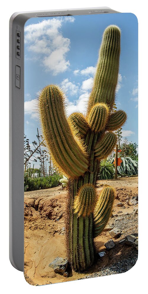 Cactus Portable Battery Charger featuring the photograph Cactus Country by Vicki Walsh