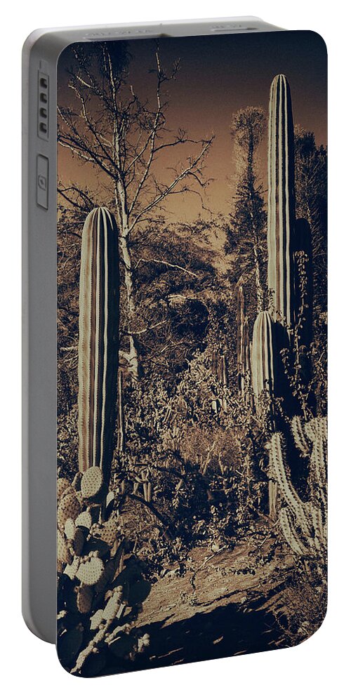 Cactus Portable Battery Charger featuring the photograph Cactus Garden 9 by Lawrence Knutsson