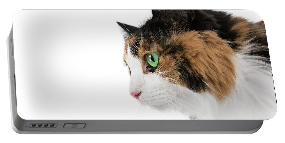 Cat Portable Battery Charger featuring the photograph Calico Joy by Renee Spade Photography