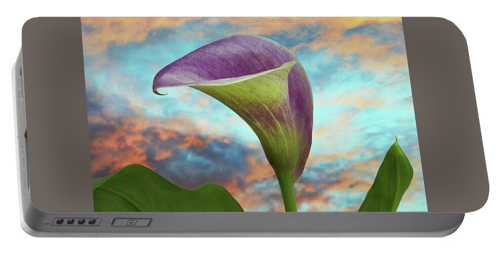 Calla Lilly Portable Battery Charger featuring the photograph Calla At Sundown. by Terence Davis