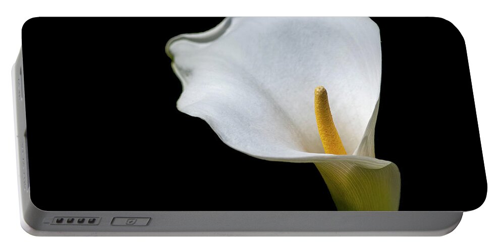 Calla Lily Portable Battery Charger featuring the photograph Calla Lily 3 by Kathy Paynter