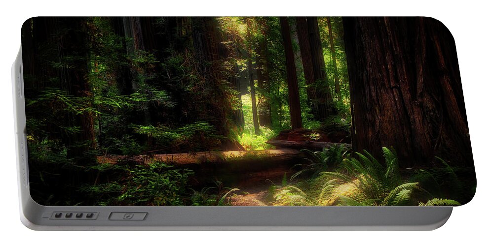 Peaceful Portable Battery Charger featuring the photograph Calling Me Deeper by Rick Furmanek