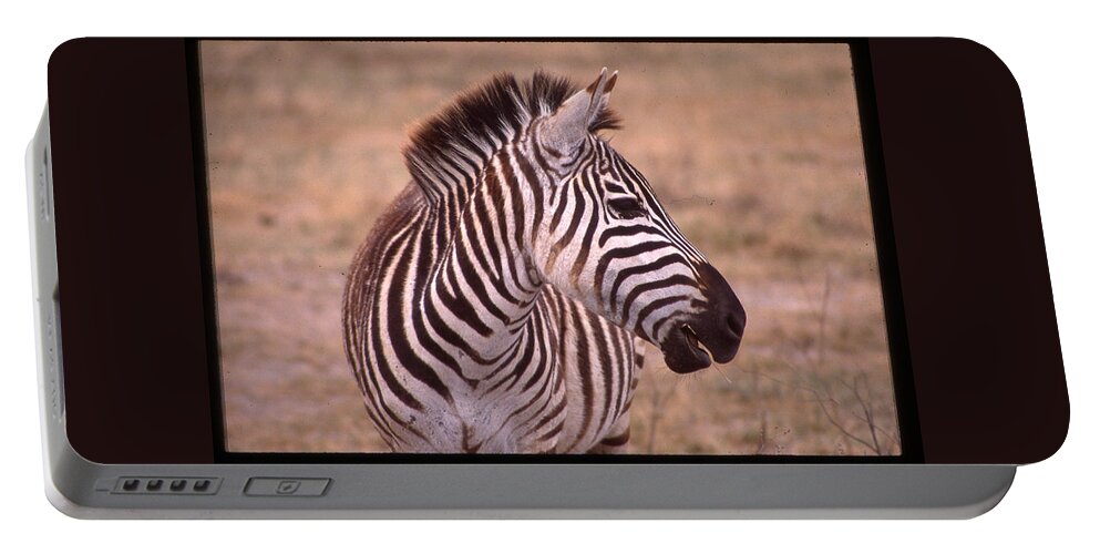 Africa Portable Battery Charger featuring the photograph Camera Shy Zebra by Russ Considine