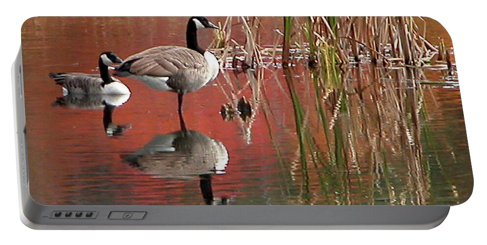 Nature Portable Battery Charger featuring the photograph Canada Geese Duo by Mariarosa Rockefeller