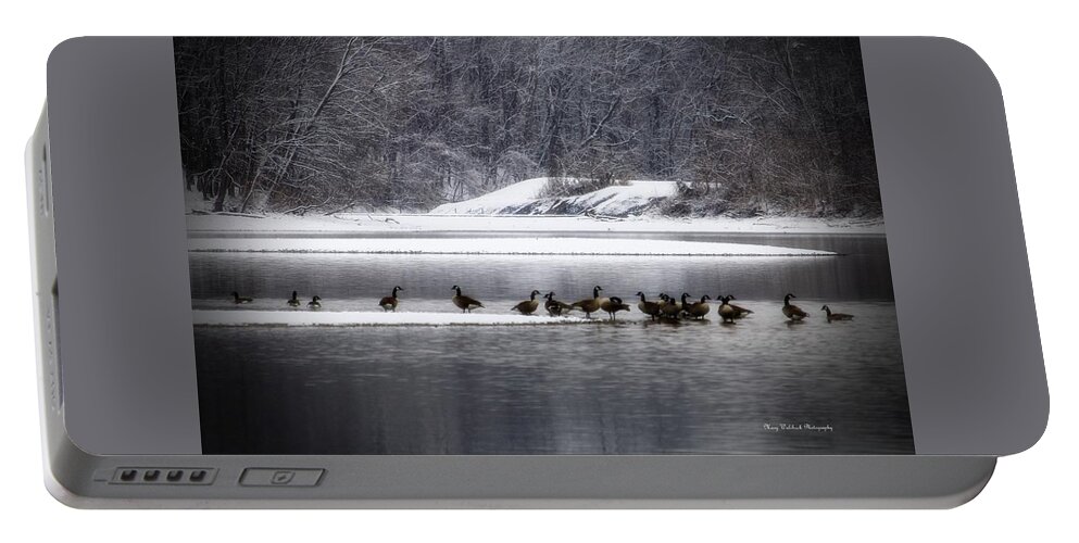 Waterfowl Portable Battery Charger featuring the photograph Canadian Geese Gathering by Mary Walchuck