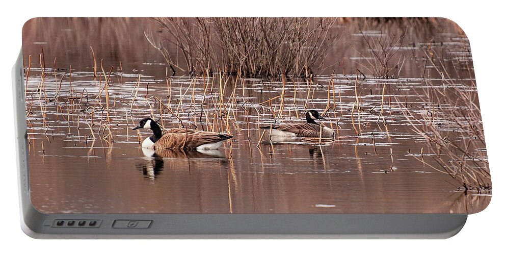 Canadian Geese Portable Battery Charger featuring the photograph Canadian Geese On A Pond 2 by Flees Photos