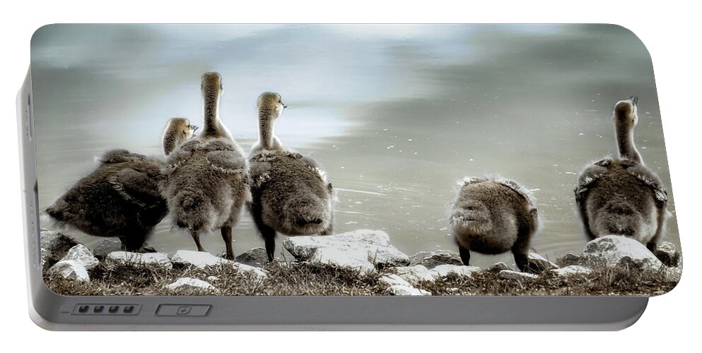 Canadian Geese Portable Battery Charger featuring the photograph Canadian Geese Series 1 by Darlene Kwiatkowski