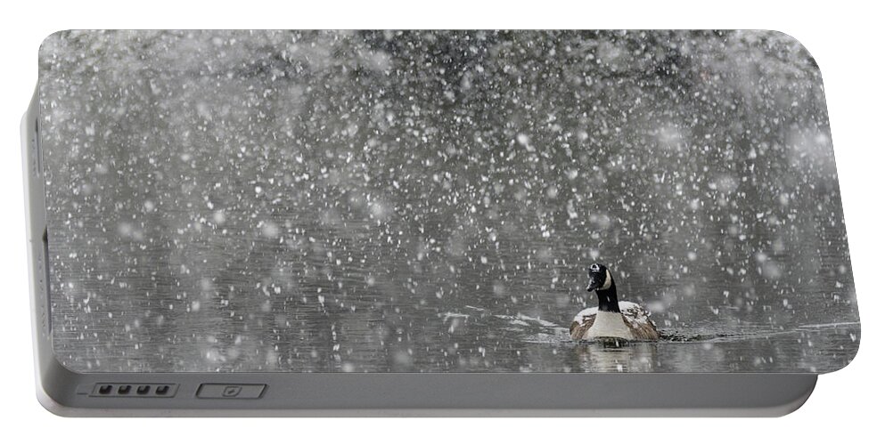 North America Portable Battery Charger featuring the photograph Canadian Goose in Snow 1 by Melissa Southern