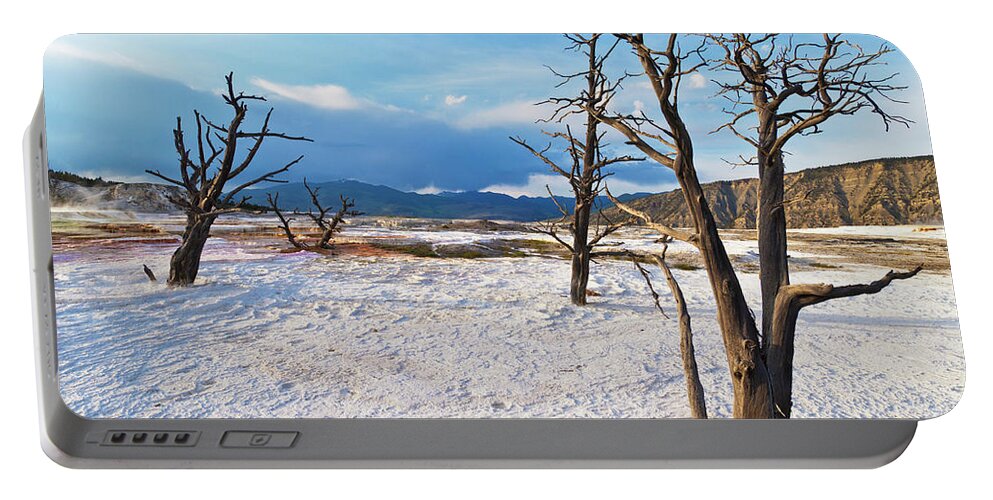 Canary Spring Portable Battery Charger featuring the photograph Canary spring, Mammoth Hot Springs, Yellowstone National Park, Wyoming, USAs by Neale And Judith Clark