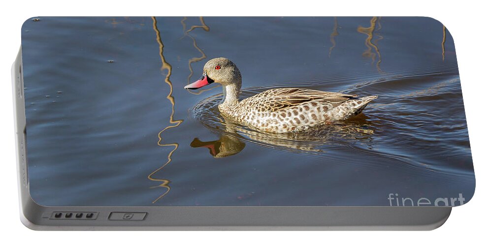 Cape Teal Portable Battery Charger featuring the photograph Cape Teal by Eva Lechner