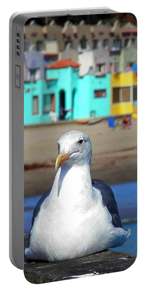 Capitola Portable Battery Charger featuring the photograph Capitola And The Seagull by Claudia Zahnd-Prezioso