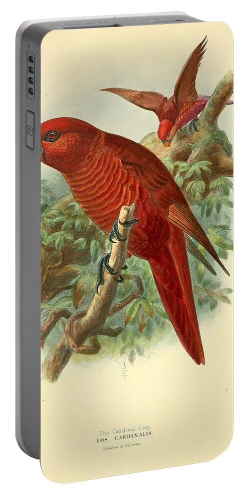 Bird Portable Battery Charger featuring the mixed media Cardinal Lory by World Art Collective