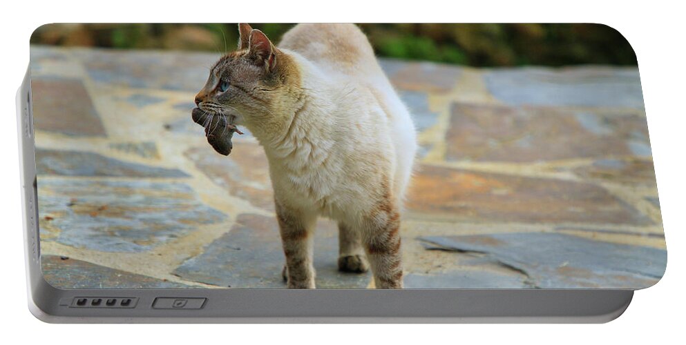 Cat And Mouse Portable Battery Charger featuring the photograph Cat and Mouse by Gene Taylor