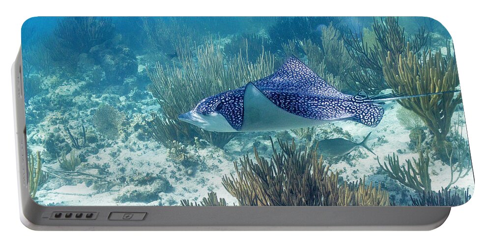 Grand Cayman Portable Battery Charger featuring the photograph Catch Me If You Can by Lynne Browne