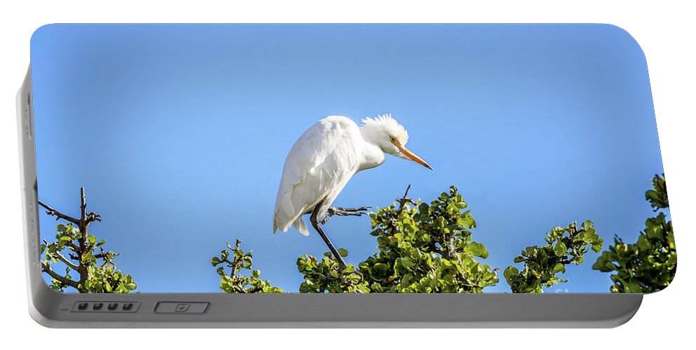 Bird Portable Battery Charger featuring the photograph Cattle Egret by Jane Rix