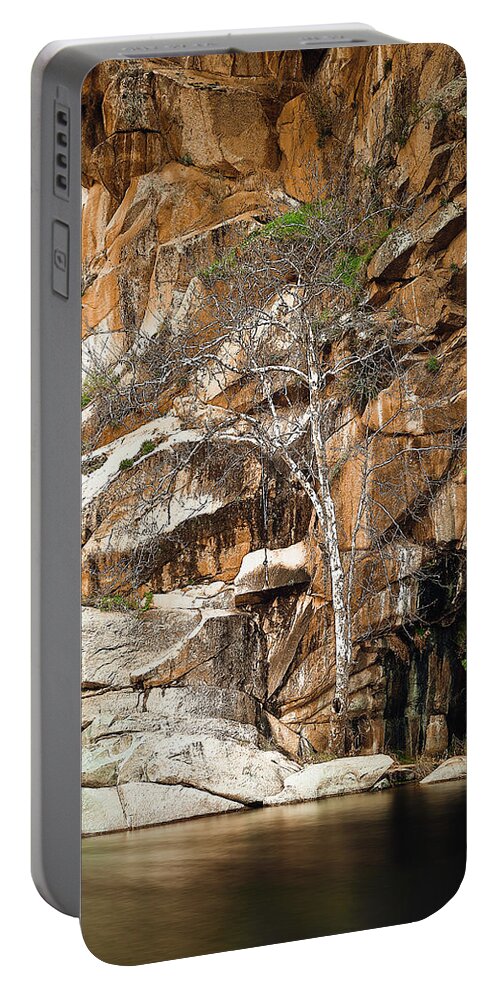 Waterfall Portable Battery Charger featuring the photograph Cedar Creek Tree by Jermaine Beckley