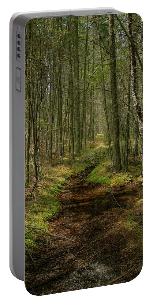 New Jersey Portable Battery Charger featuring the photograph Cedar Swamp in Wharton State Forest by Kristia Adams