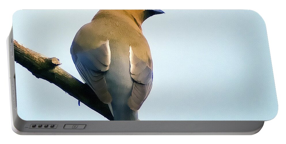 Bird Portable Battery Charger featuring the photograph Cedar Waxwing by Edward Shotwell