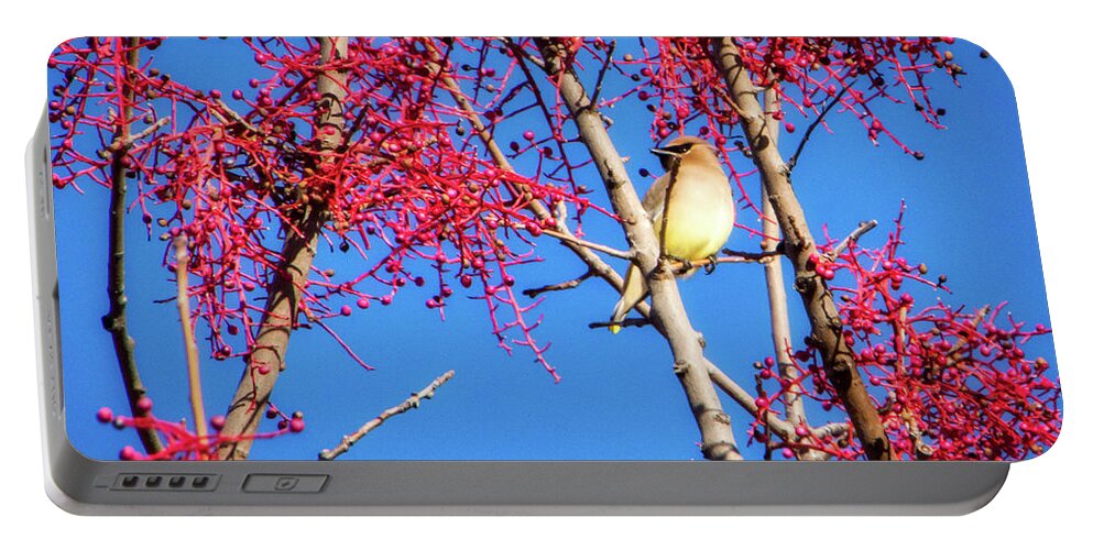 Birds Portable Battery Charger featuring the photograph Cedar Waxwing by Steph Gabler
