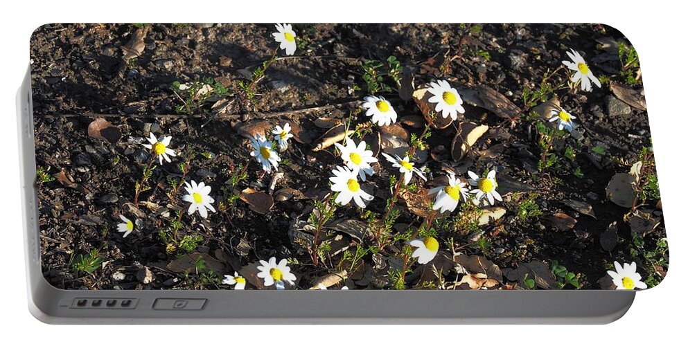 Photo Art Portable Battery Charger featuring the photograph Chamomile Group Social by Richard Thomas